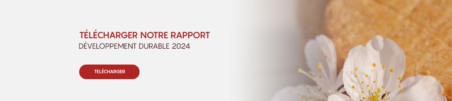 rapport DD 2024